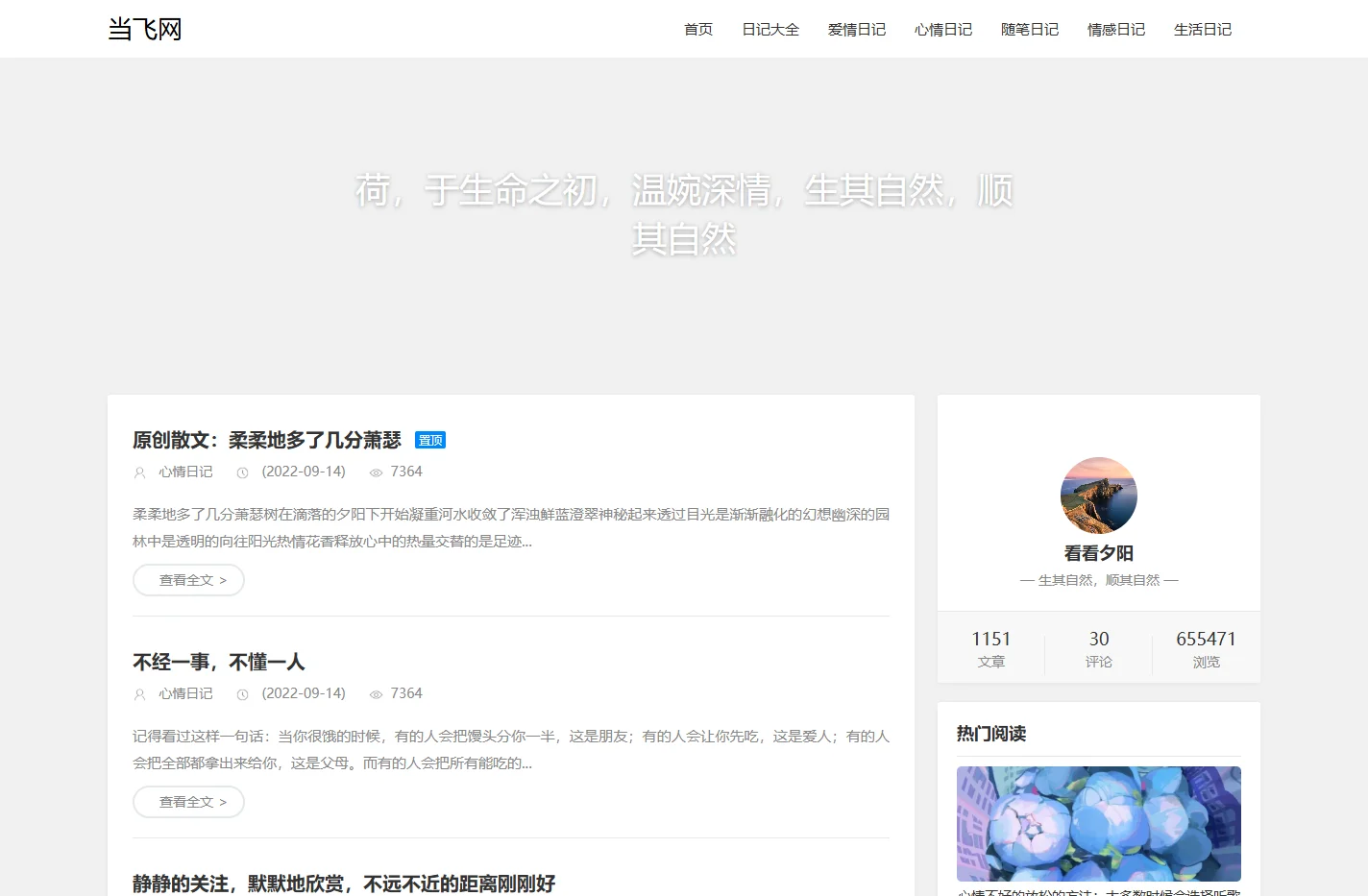 当飞网