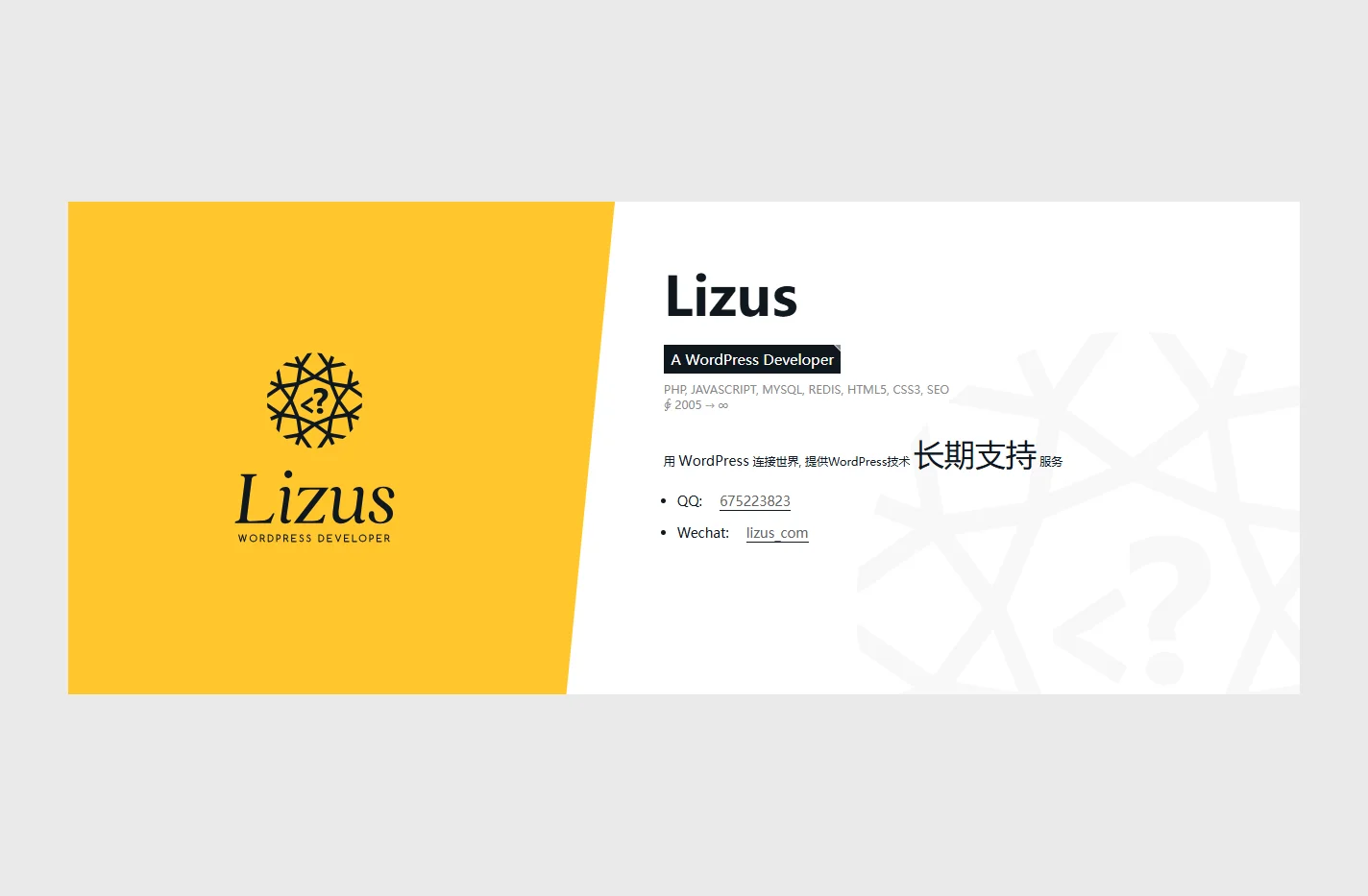 Lizus - WordPress站点长期技术支持合作
