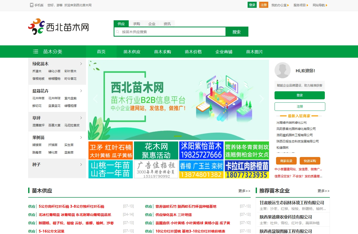 西北苗木网--苗木求购|绿化苗木价格|陕西苗木