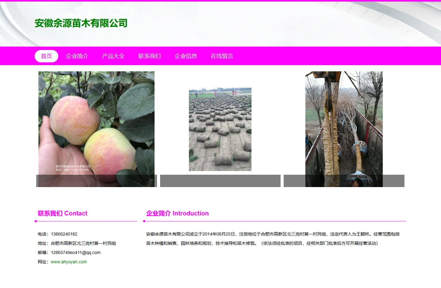 安徽余源苗木有限公司|苗木种植和销售