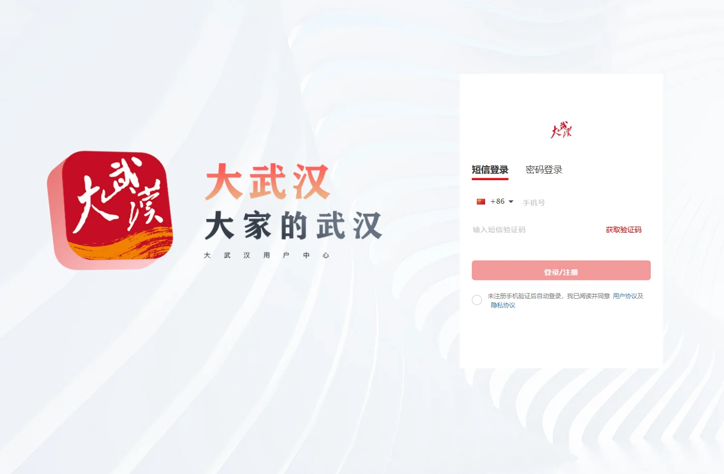 大武汉号