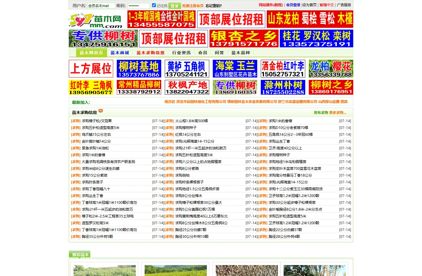 597苗木网|苗木求购信息_网上苗木app交易平台