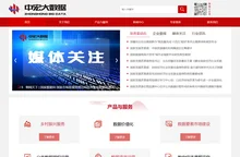 中宏大数据