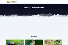 动物Top