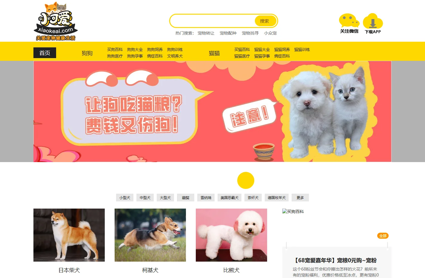 小可爱宠物网_宠物猫狗品种及图片视频_宠物猫咪狗狗专业平台