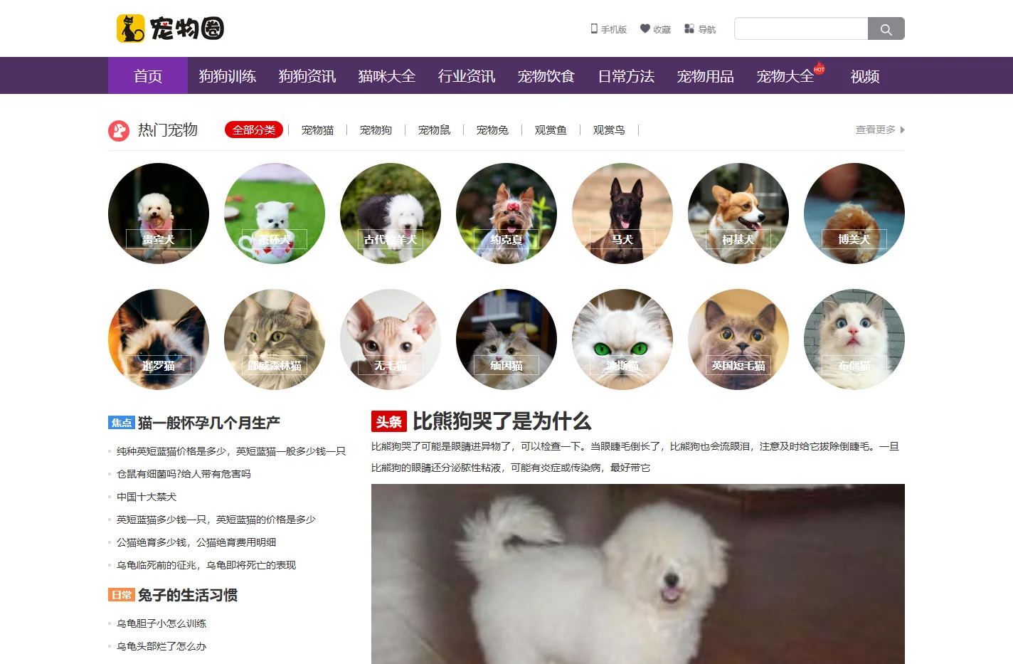 宠物圈 - 专注于狗狗美容护理狗狗训练教程