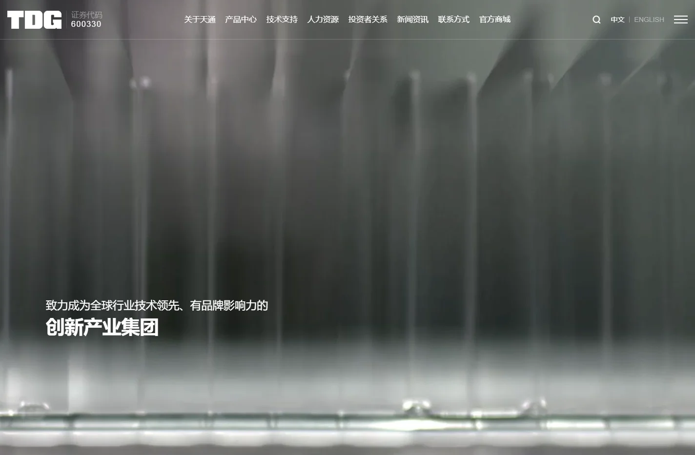天通控股股份有限公司