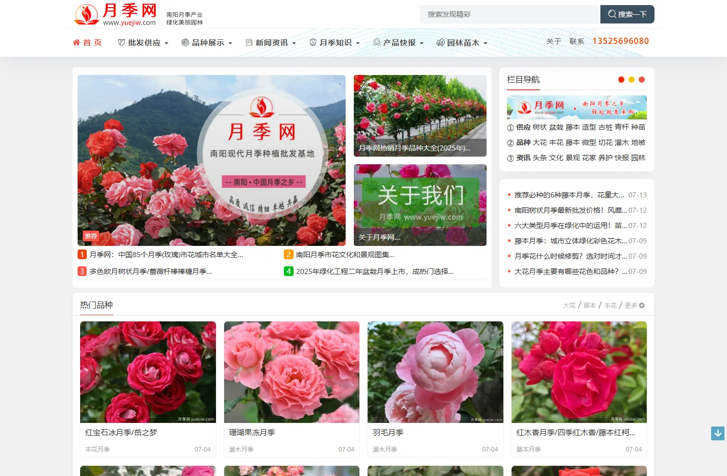 月季网 - 树状藤本大花，月季批发交易基地