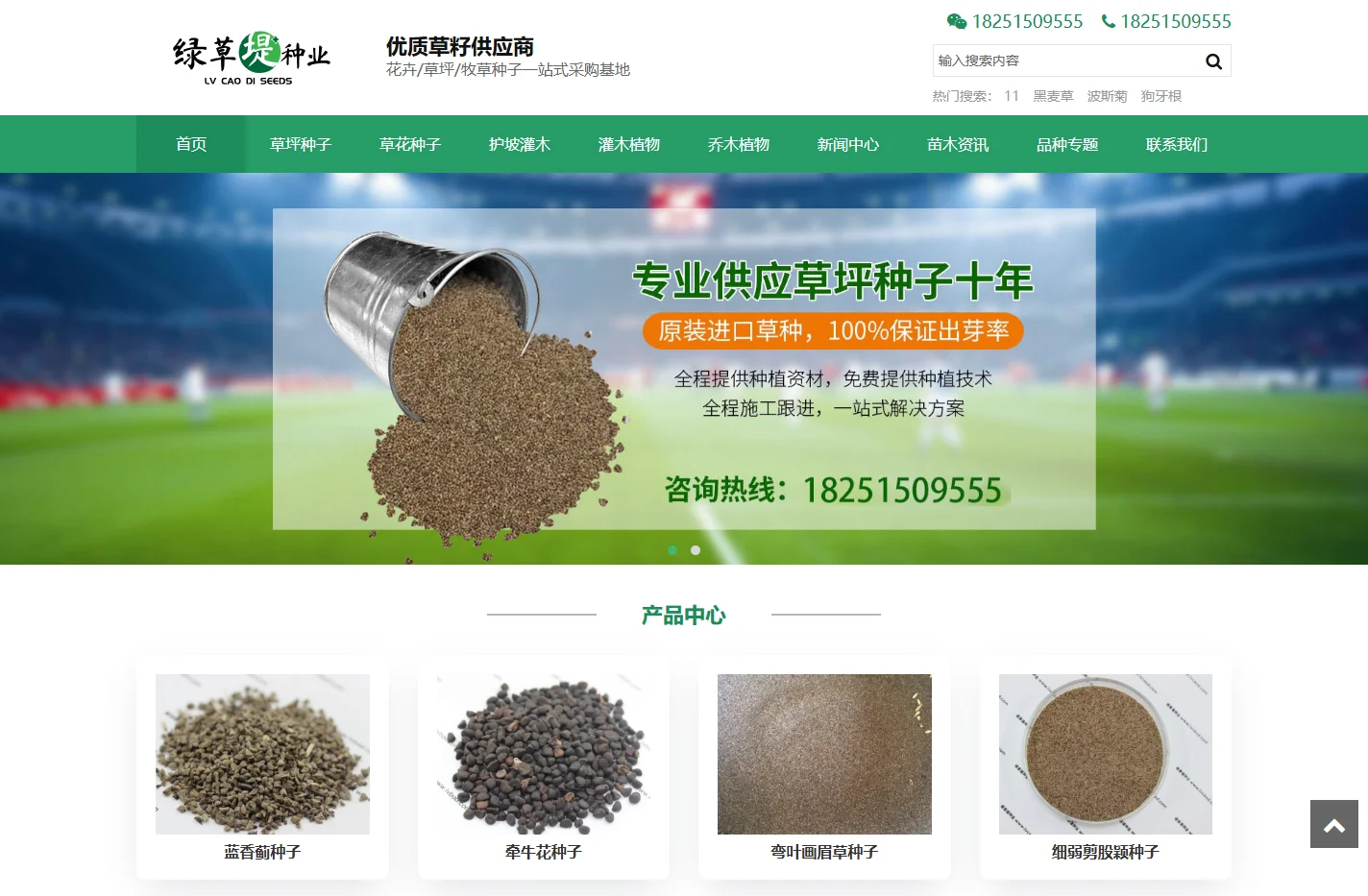 进口草坪种子批发供应商-绿草堤园林网-沭阳县三点水商贸有限公司