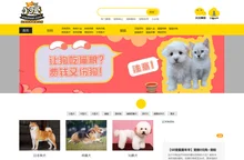 小可爱宠物网_宠物猫狗品种及图片视频_宠物猫咪狗狗专业平台