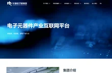 深圳华强电子网集团股份有限公司