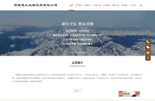 西藏德众地理信息有限公司