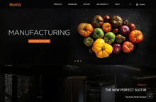 Homa Refrigerator | Refrigerator Manufacturer | Homa Applian