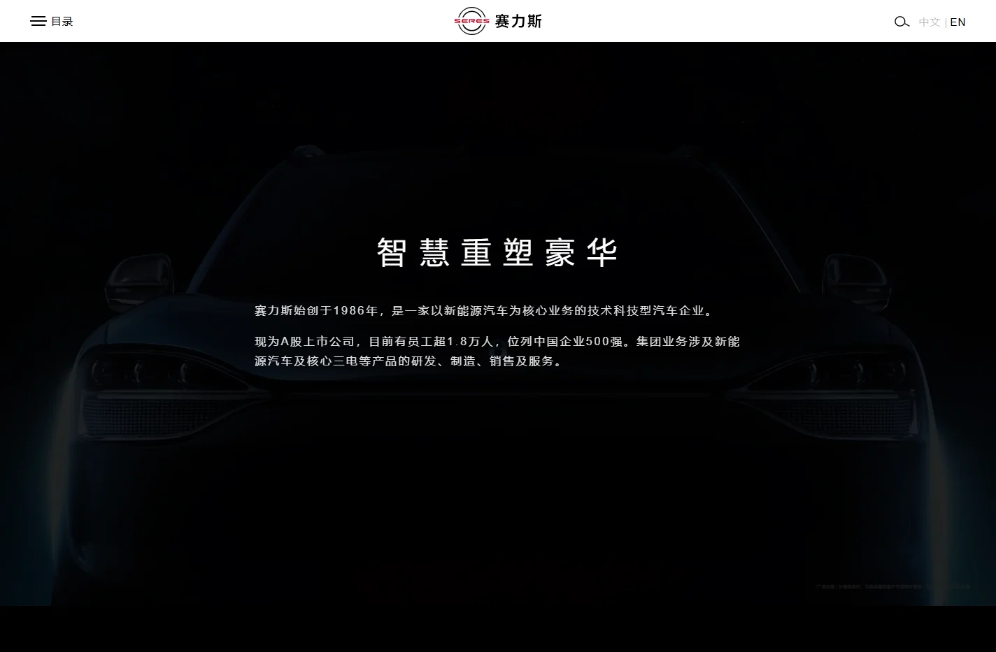 赛力斯集团股份有限公司
