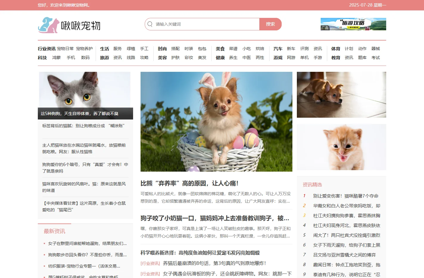 啾啾宠物网-您的养宠好助手