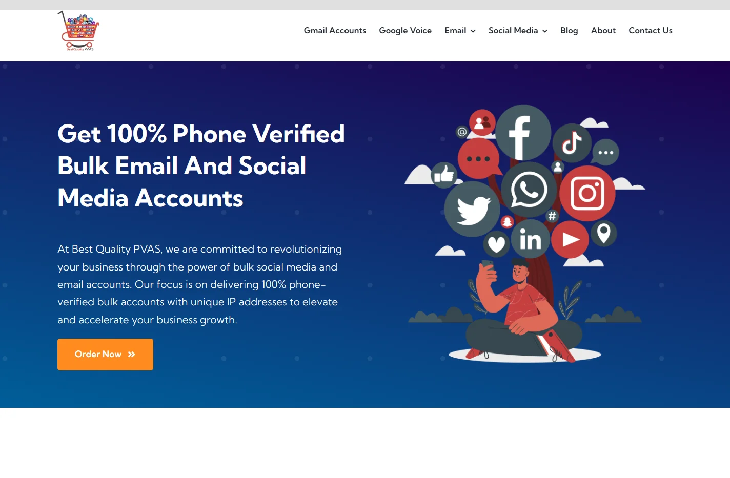 Home | Best Quality PVAS Provide 100% Phone Verified Bulk Em