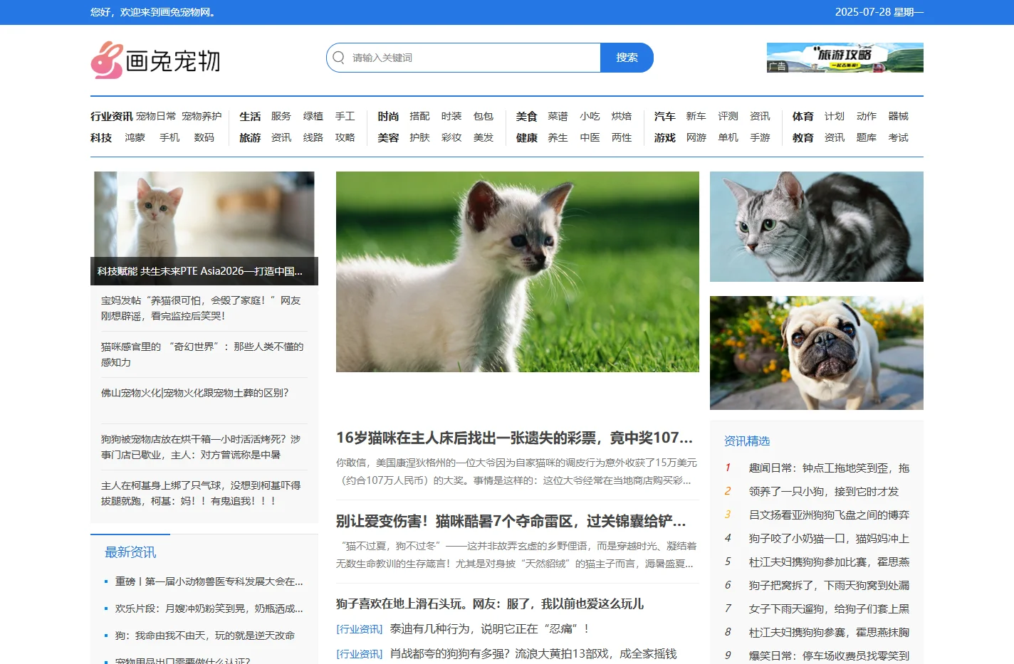 画兔宠物网-宠物一站式服务平台