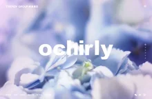 公司官网