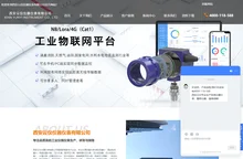 数字压力表，活塞式压力计，雷达液位计，流量计-西安云仪仪器仪表有限公司