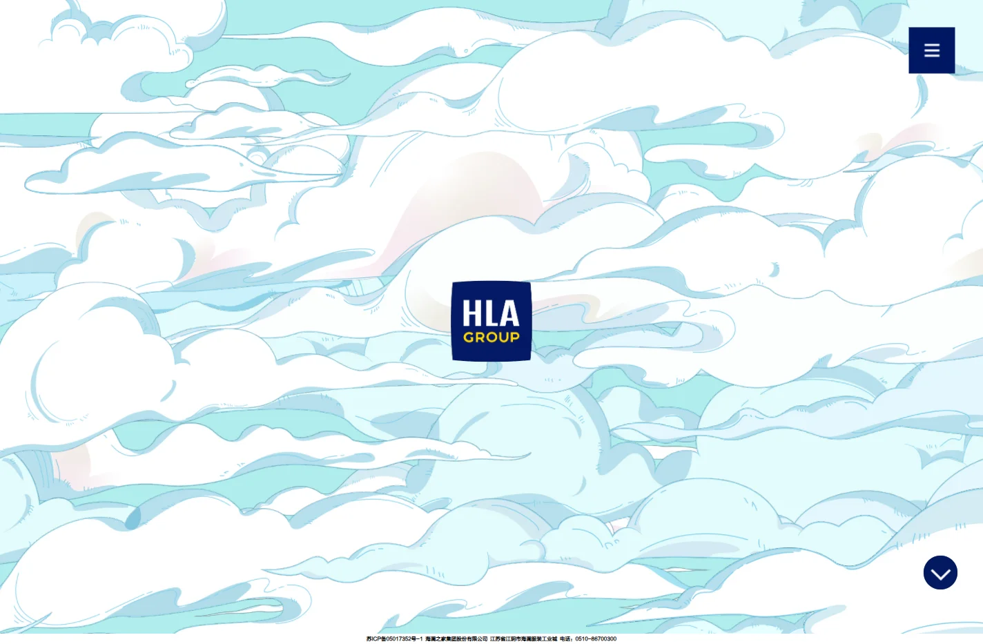 HLA GROUP