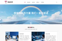 深圳市残友软件股份有限公司
