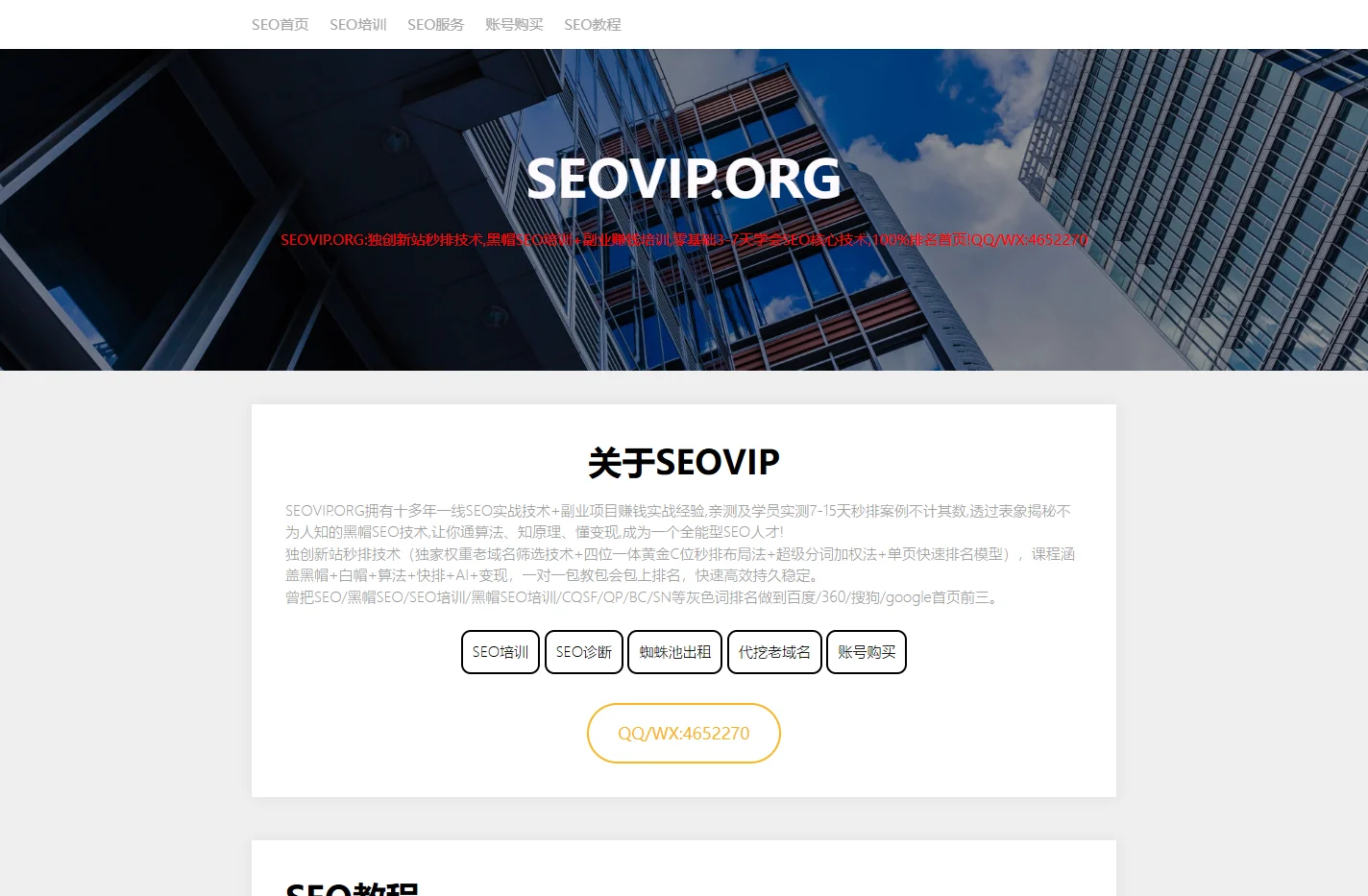 黑帽SEO培训-SEOVIP.ORG