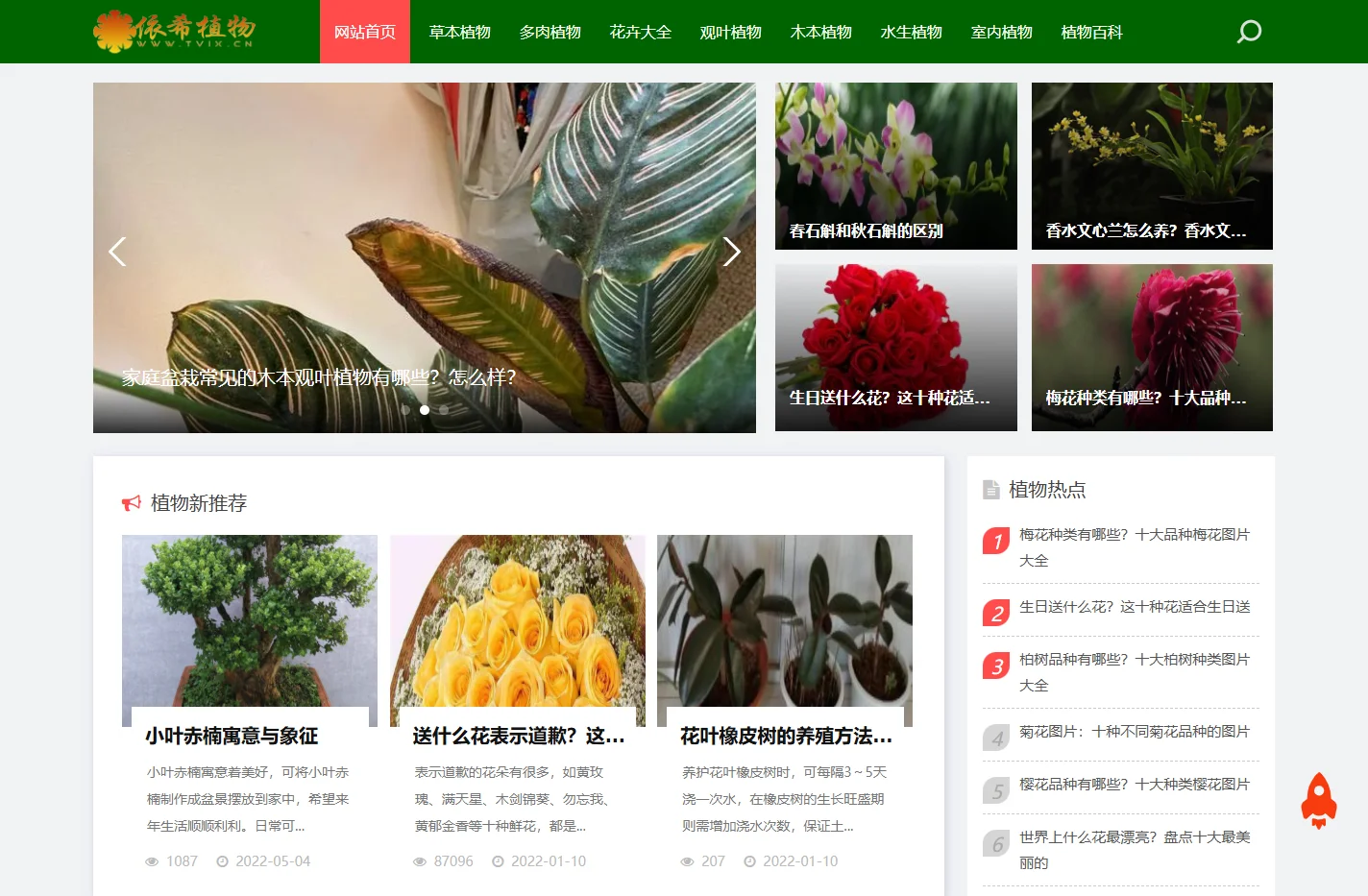 依稀植物网-植物分类大全,植物图片和养护知识
