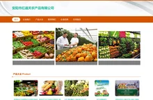 安阳市红遍天农产品有限公司