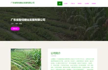 白糖 红糖 广东省智佳糖业发展有限公司