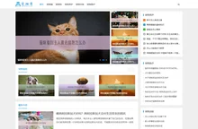 宠物岸 - 分享全面的宠物知识百科，让您成为宠物专家