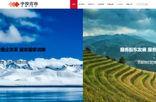中投咨询有限公司
