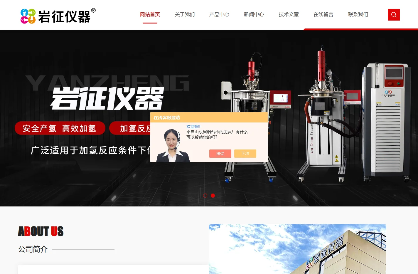 实验室加氢装置_连续加氢反应釜|小型加氢反应釜-上海岩征仪器