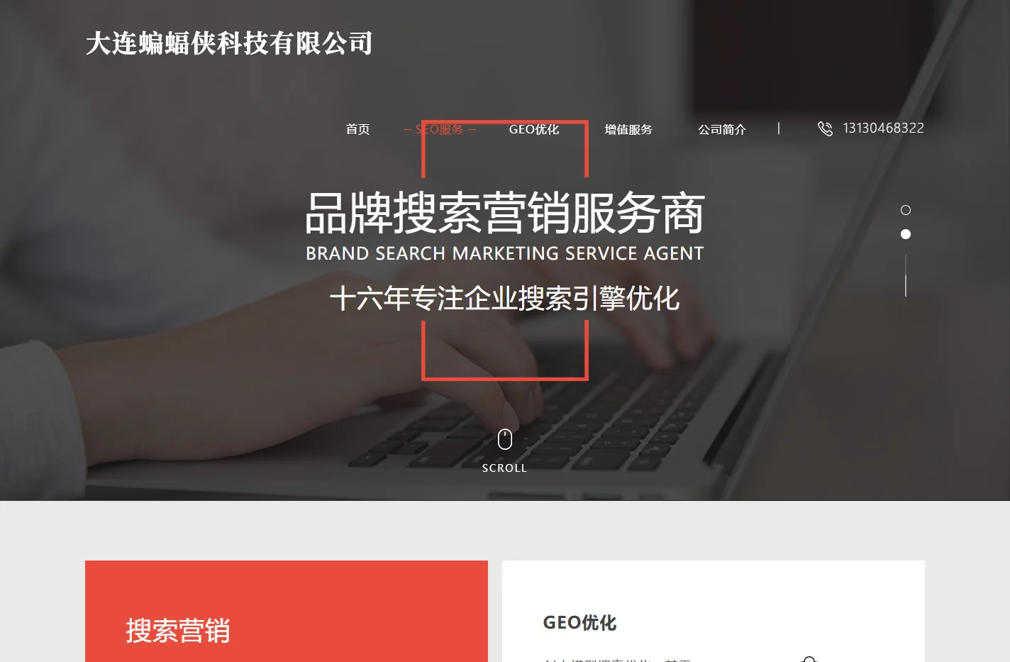 蝙蝠侠IT-国内知名SEO/GEO优化公司，AI品牌搜索营销