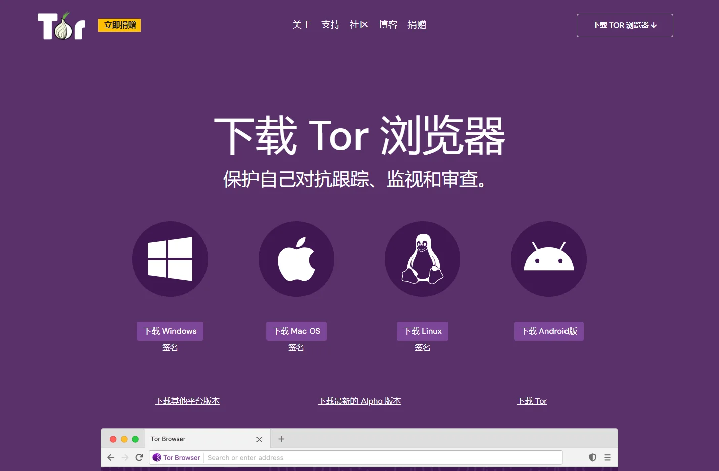 Tor 浏览器 | 洋葱浏览器 PC下载