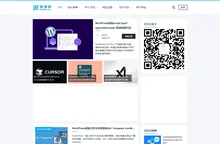 泪雪博客 - 专注网站SEO优化推广及WordPress开发！