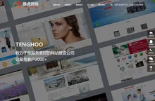 广州网站建设_网站制作_网站设计公司_网络推广优化-腾虎建站公司