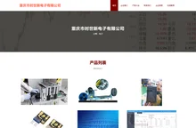 重庆市时世新电子有限公司