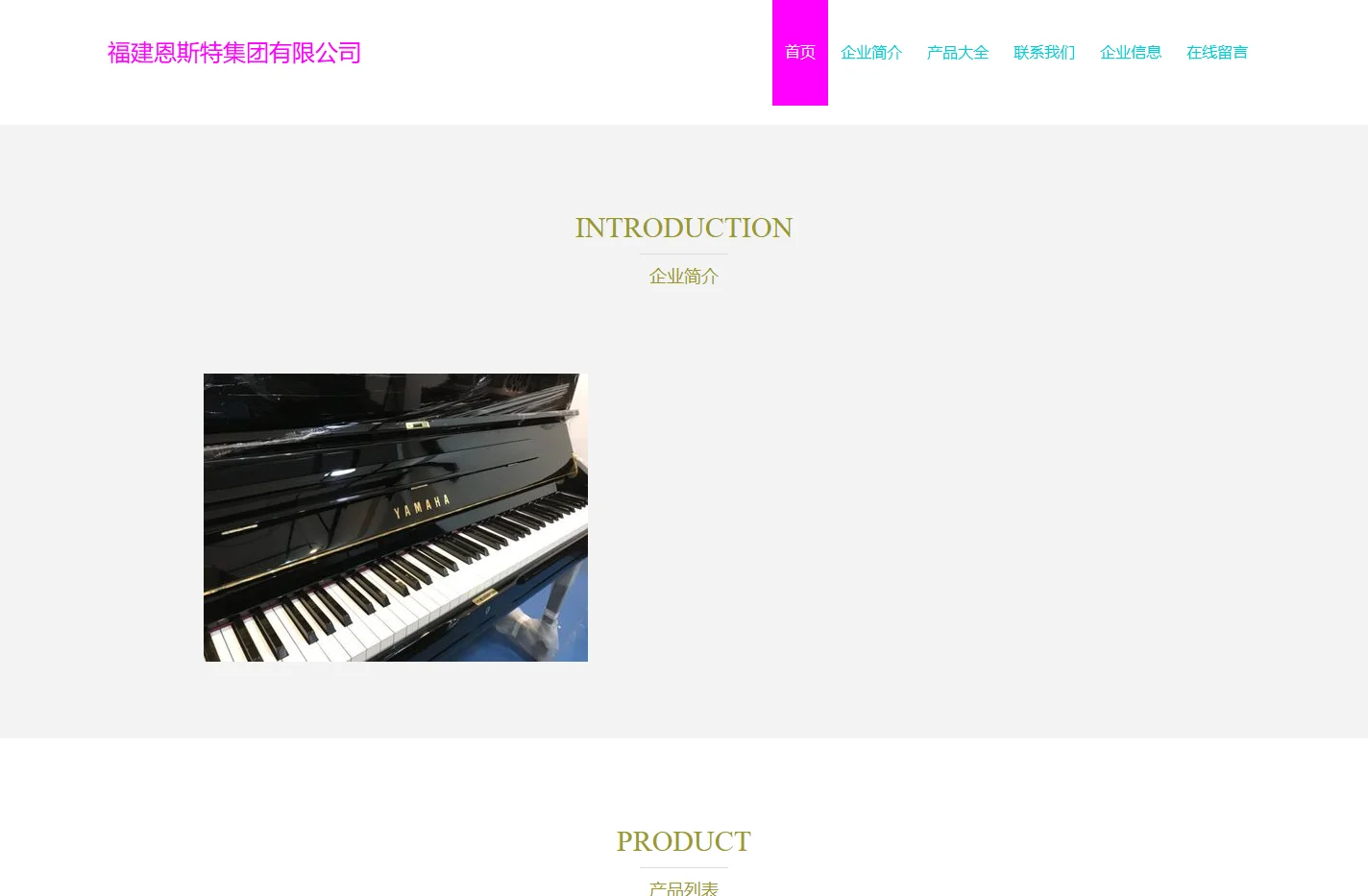 原装进口钢琴,福建恩斯特集团有限公司