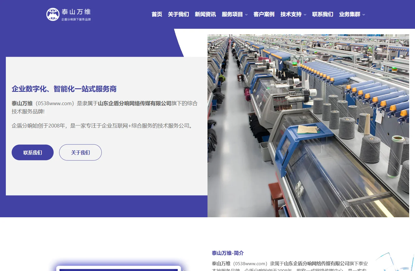 泰山万维-泰安网站建设-小程序APP开发-泰安网络推广公司