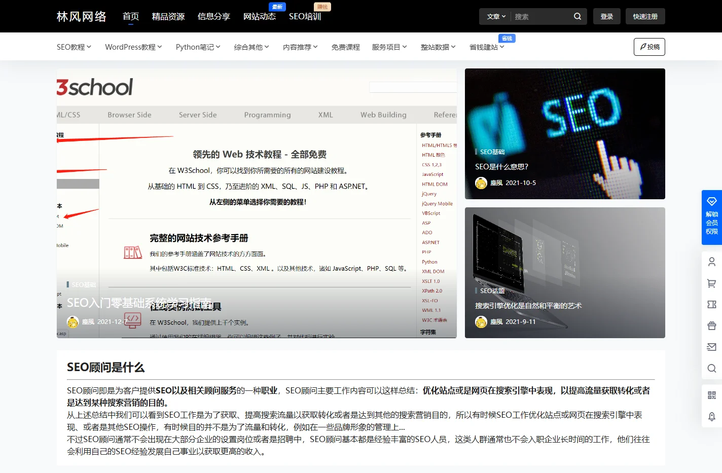 SEO顾问_专业SEO网站优化服务 - 林风网络