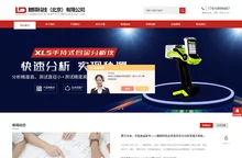 便携x射线荧光光谱仪-LIBS手持合金分析仪-手持矿石分析仪-朗铎科技