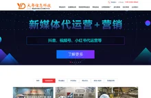 东莞网站建设-网站优化-SEO优化推广-东莞大粤信息科技
