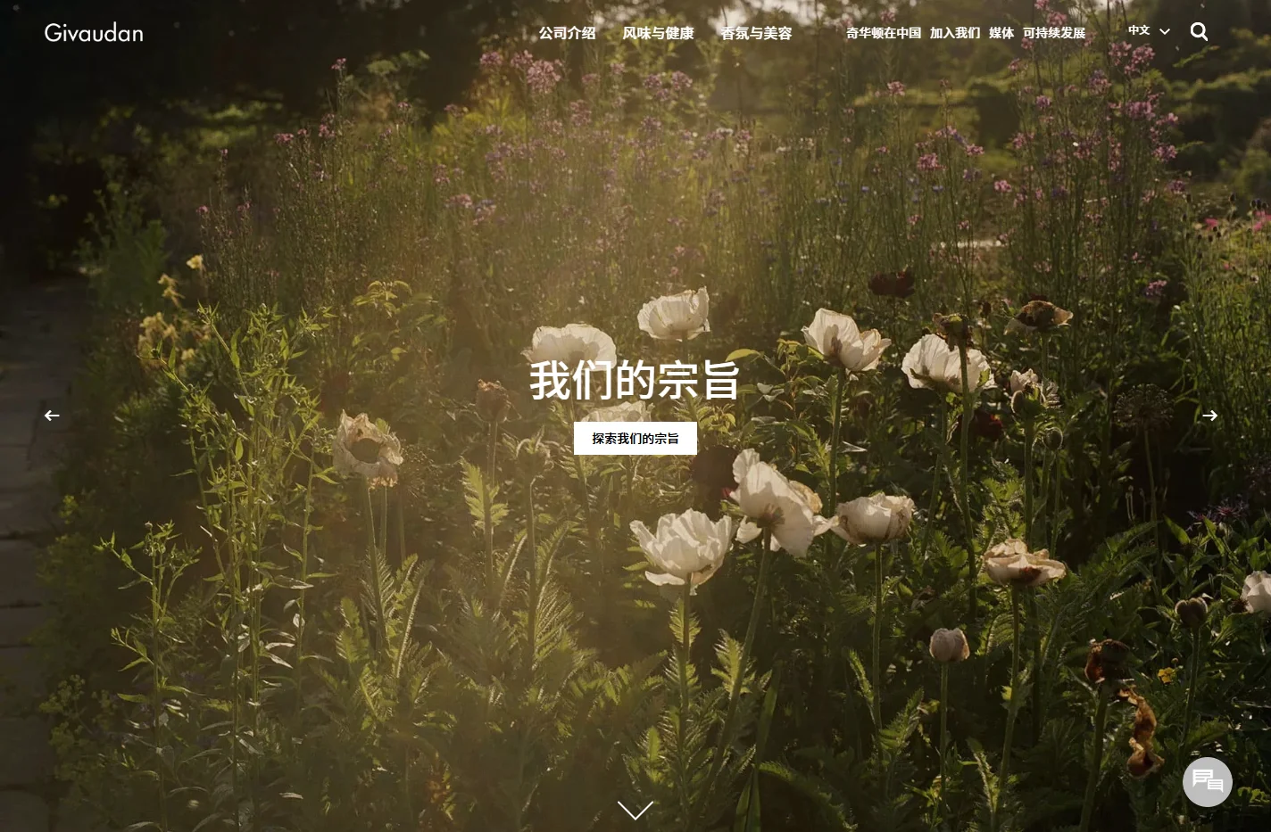 奇华顿官网