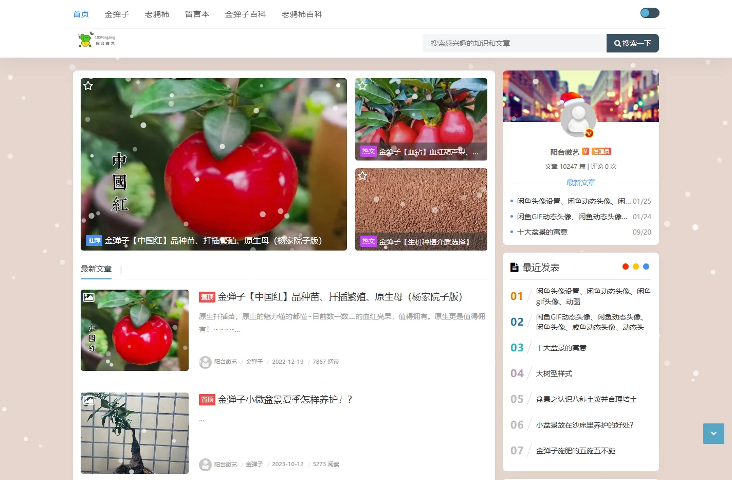 金弹子网|老鸦柿百科 - 阳台微艺