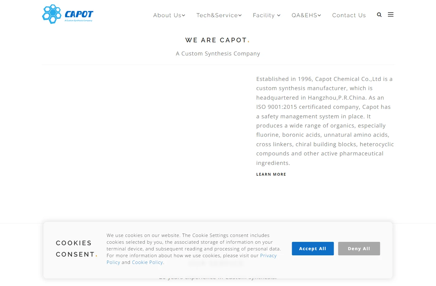 A Custom Synthesis Company - Capot Chemical