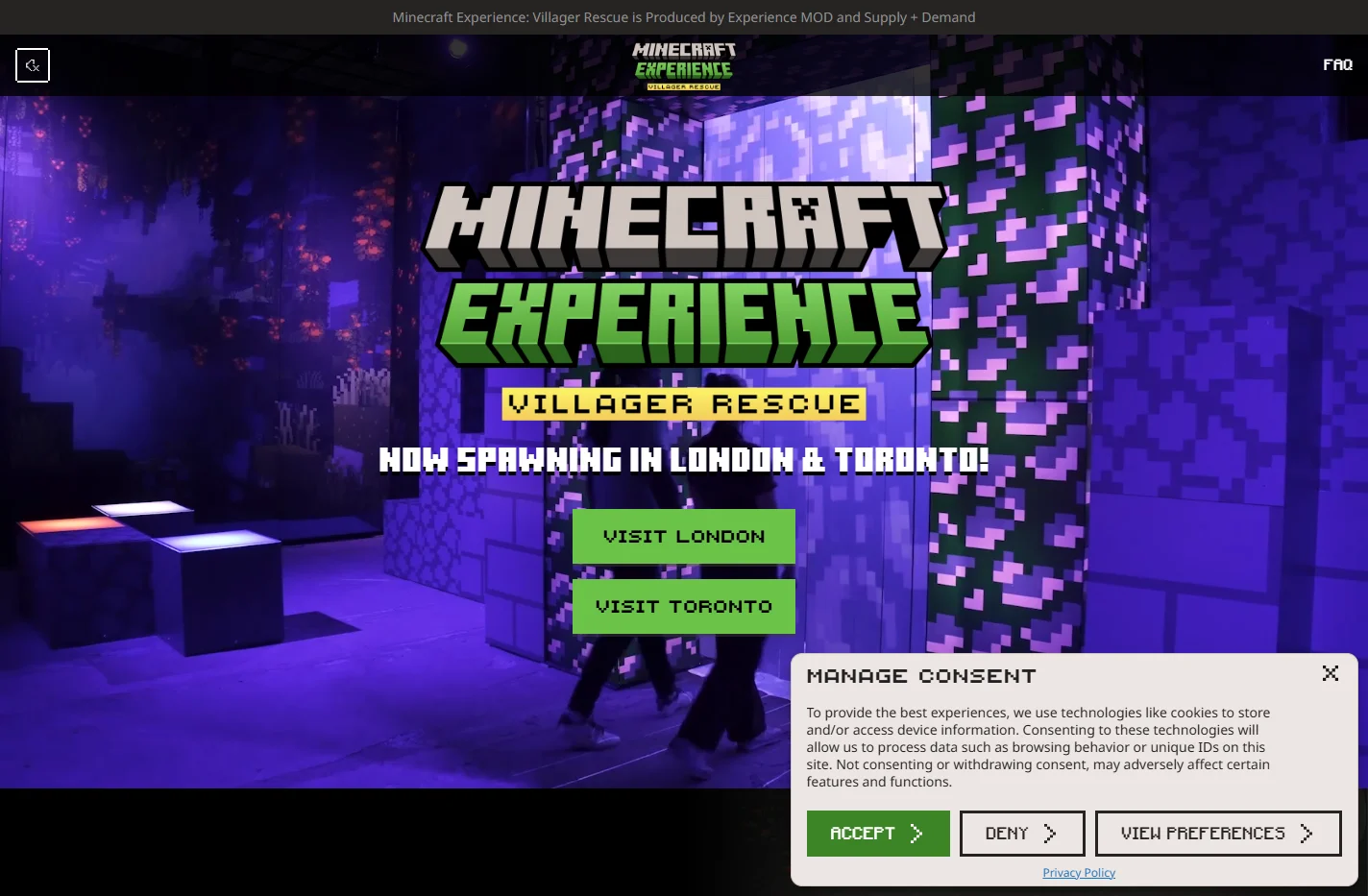 Minecraft Experience