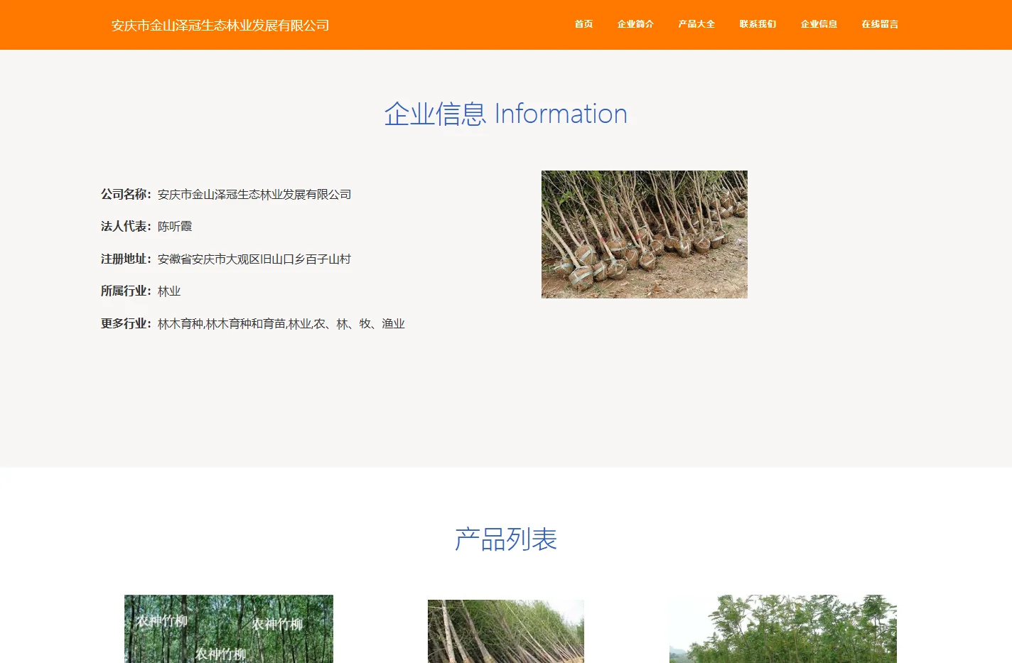 安庆市金山泽冠生态林业发展有限公司-苗木-花卉种植-林业种殖