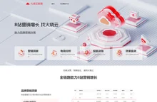 火烧云数据-B站数据分析平台-B站营销增长