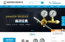 氨气减压器-甲烷减压器-天然气防冻减压器-临海市临华仪表有限公司