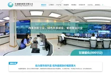 甘肃能化股份有限公司